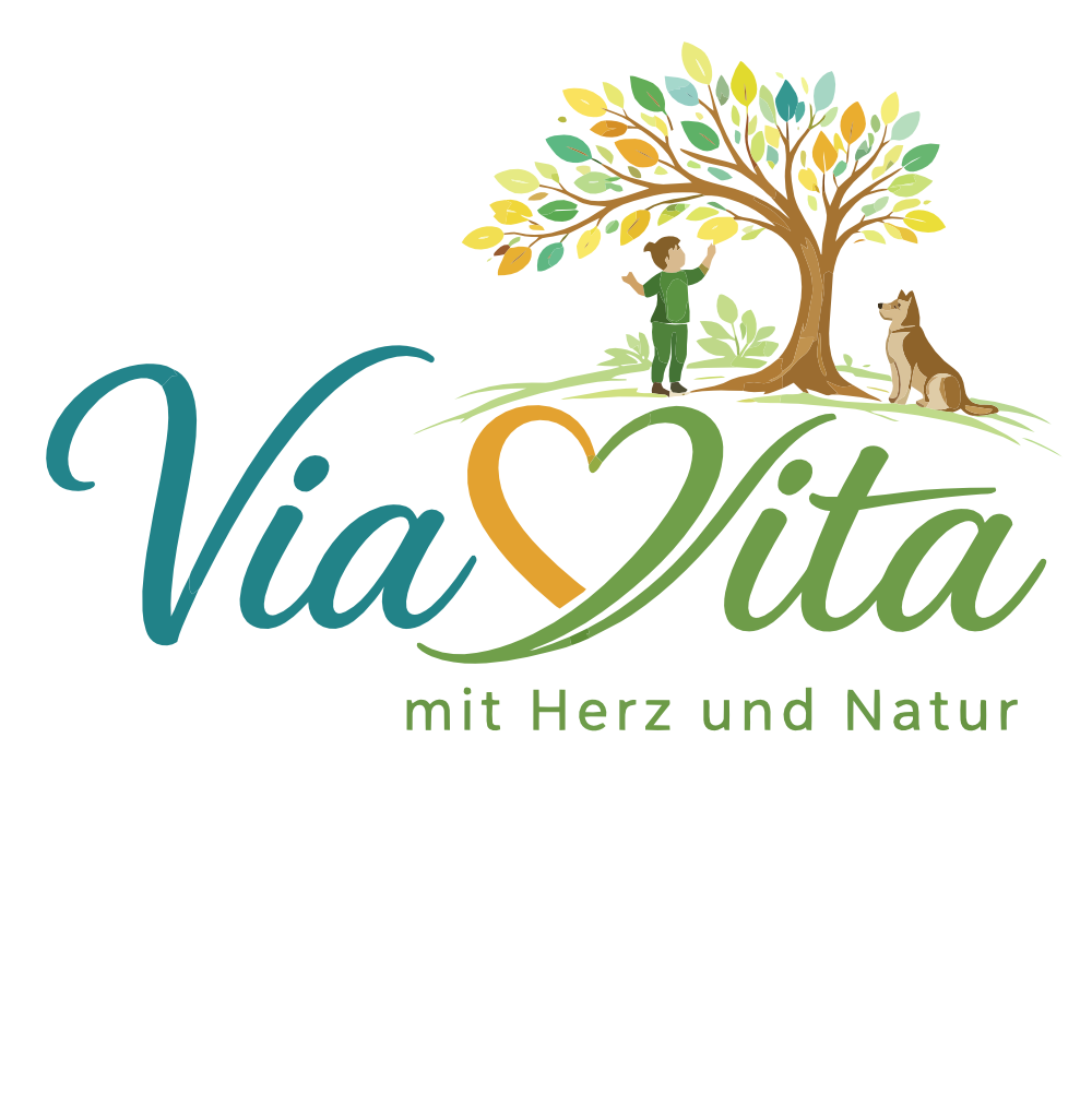 ViaVita Dyskalkulietherapie Tutzing